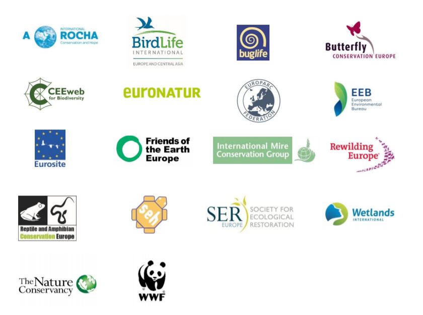 The Nature Protection Commitments in the 2030 EU Biodiversity Strategy